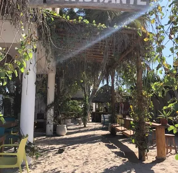 ホテル Boutique Can Cocal El Cuyo