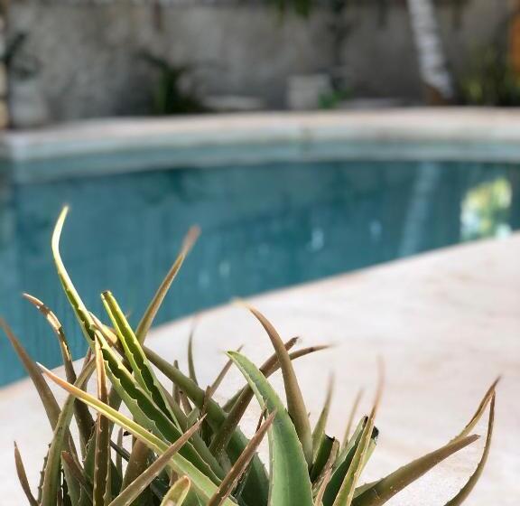 ホテル Boutique Can Cocal El Cuyo