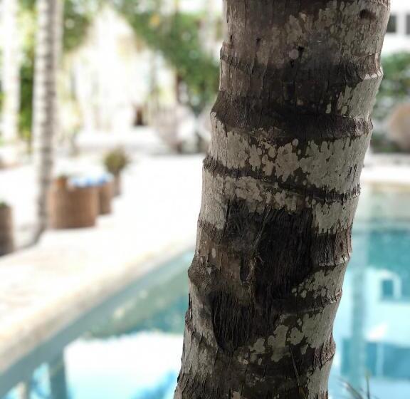 ホテル Boutique Can Cocal El Cuyo