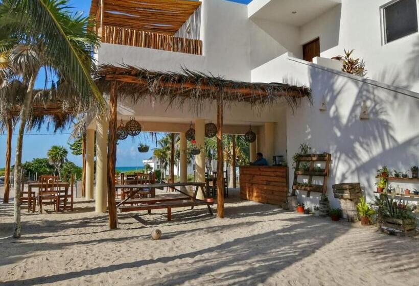 ホテル Boutique Can Cocal El Cuyo