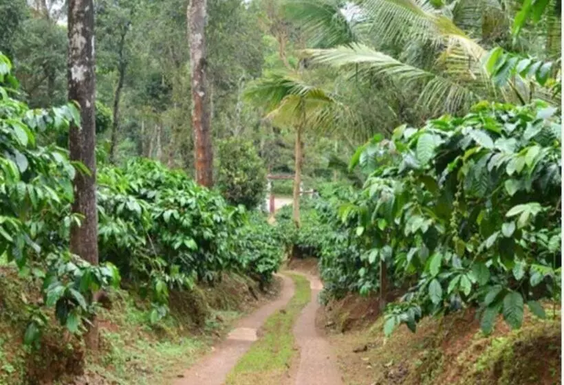 リゾートホテル Orange Valley Plantation Holiday Coorg