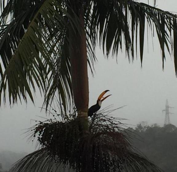 リゾートホテル Vertentes Da Mantiqueira