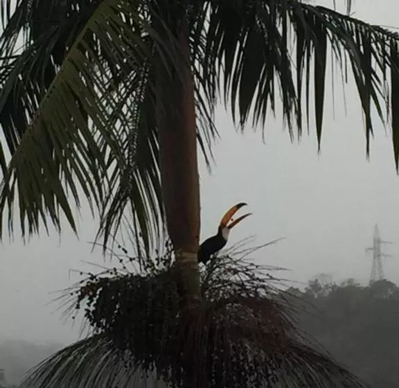 リゾートホテル Vertentes Da Mantiqueira