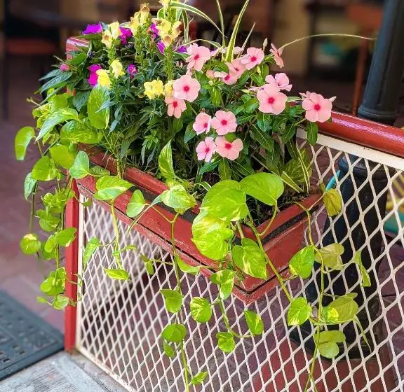 هتل Hacienda La Alborada