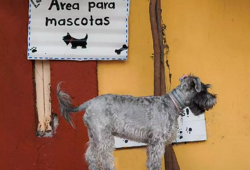 هتل Hacienda La Alborada