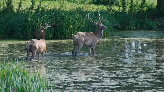 B&b Green Cottage - Residential Seminar