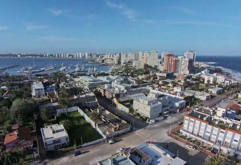 酒店 Atlantico Boutique