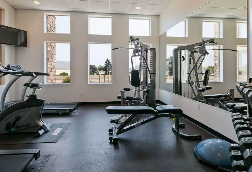 فندق Best Western Plus Service Inn & Suites