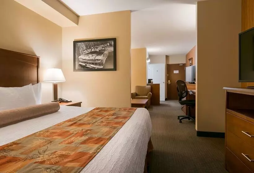 فندق Best Western Plus Service Inn & Suites