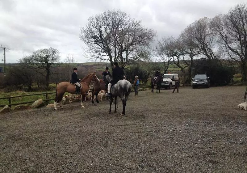 ホテル Gellifawr Country House