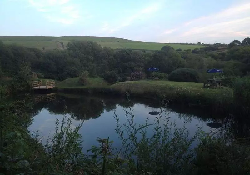 ホテル Gellifawr Country House