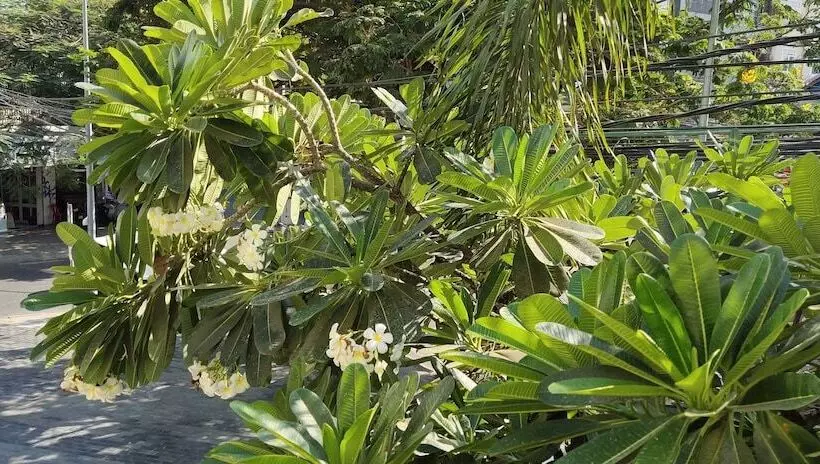 בית מלון כפרי Orussey One Boutique