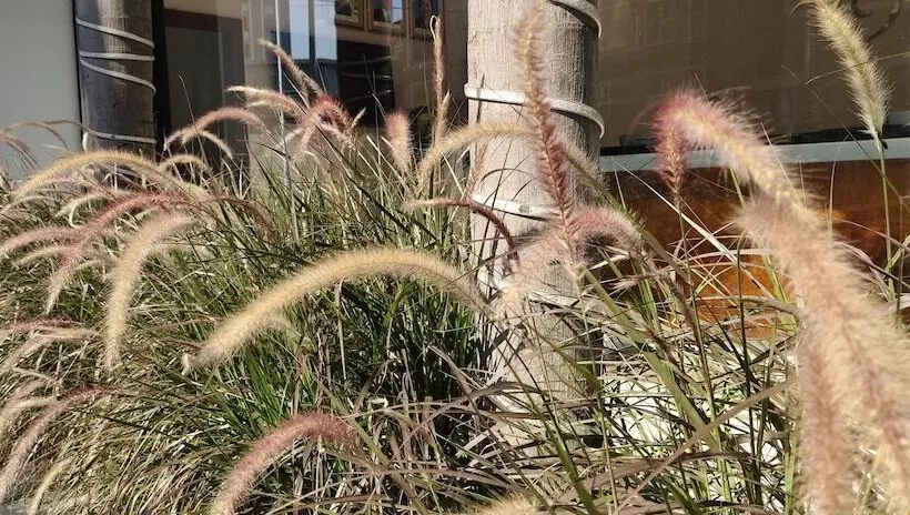 בית מלון כפרי Orussey One Boutique