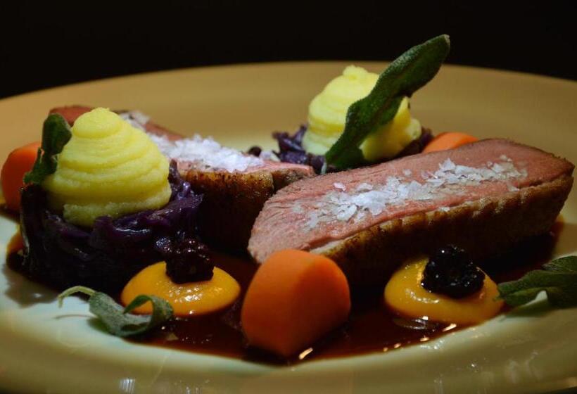 酒店 Pałac Borynia