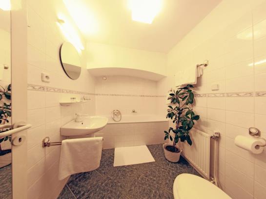 בית מלון כפרי Zlatý Kohout