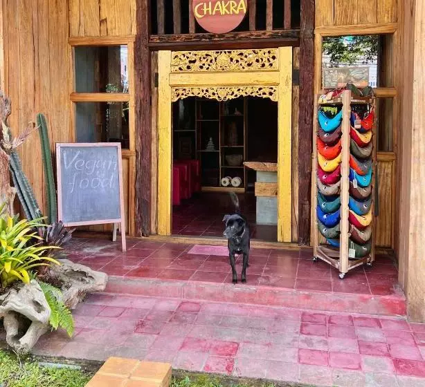 Retkeilymaja Chakra Tavern