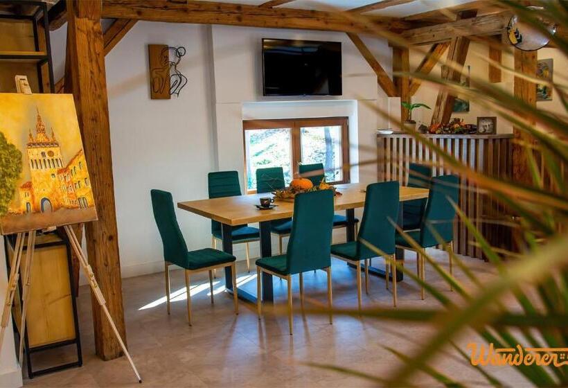 بنسيون Wanderer Sighisoara