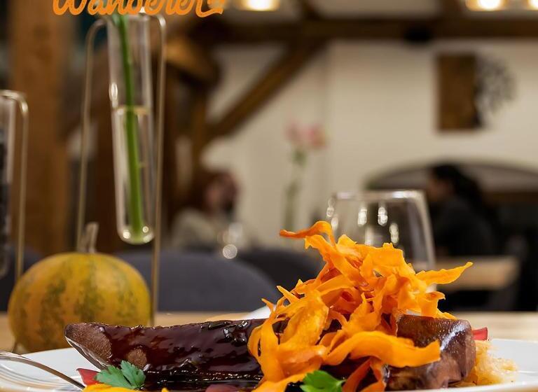 بنسيون Wanderer Sighisoara