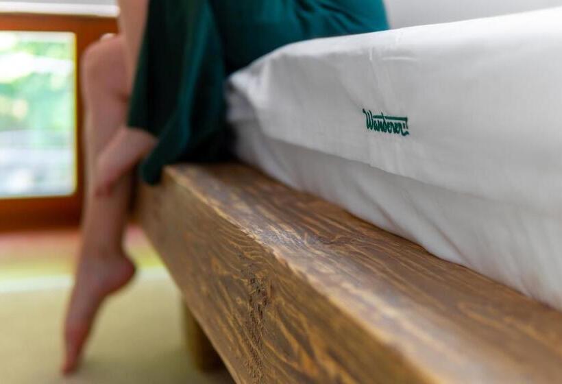 بنسيون Wanderer Sighisoara