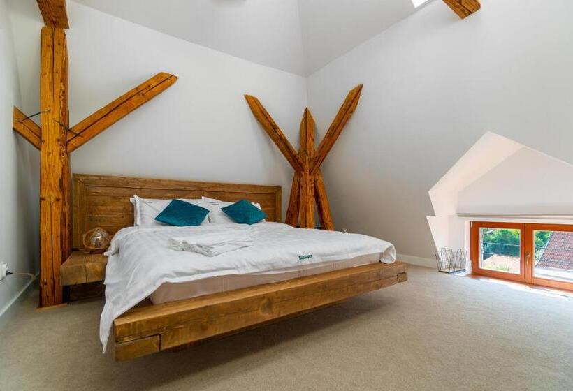 بنسيون Wanderer Sighisoara