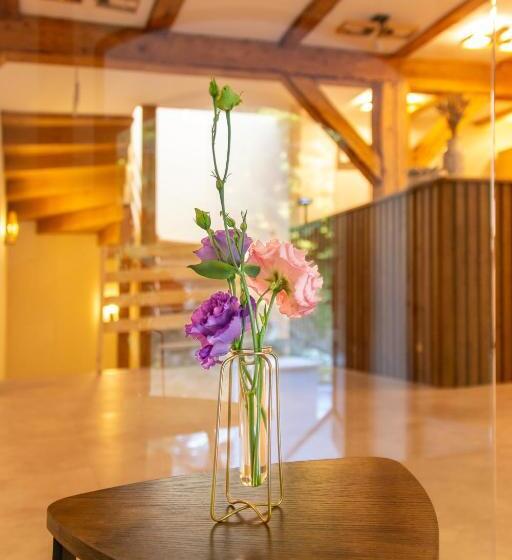 بنسيون Wanderer Sighisoara