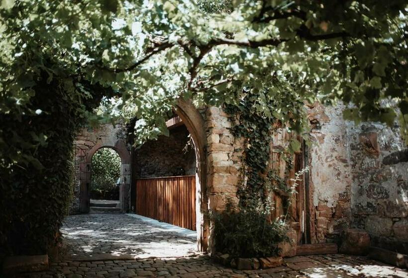 酒店 Rhodter Adler