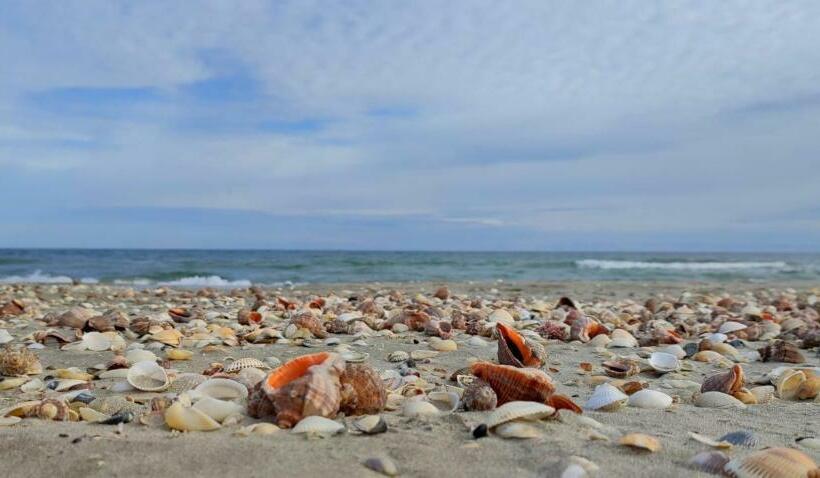 Pensione Casa Pescareasca   Complex Plaja Golf