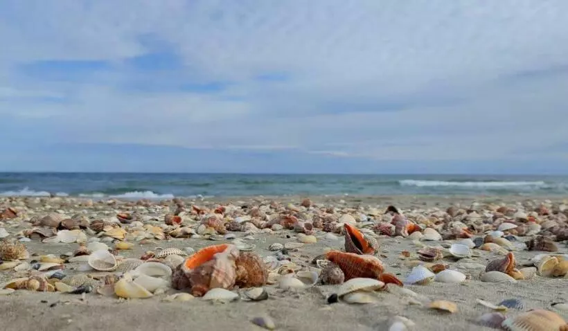 Pensione Casa Pescareasca   Complex Plaja Golf