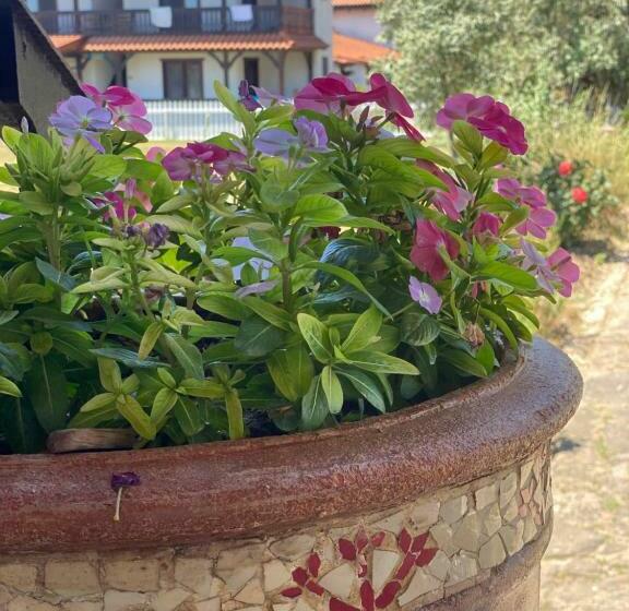 Pensione Casa Pescareasca   Complex Plaja Golf