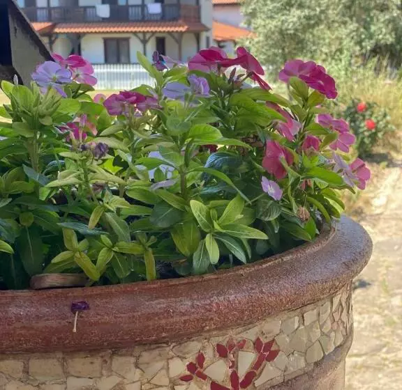 Pensione Casa Pescareasca   Complex Plaja Golf