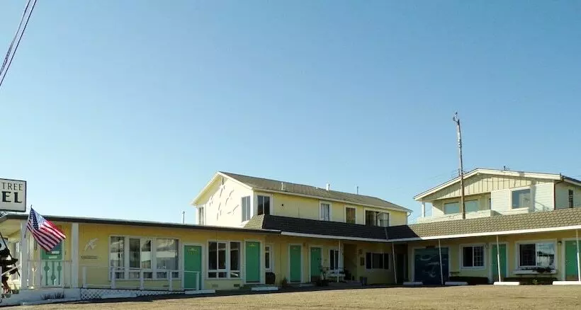 Cypress Tree Motel