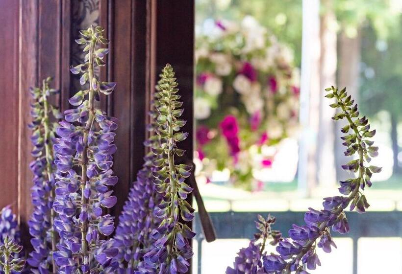 Historic Hotel Packwood