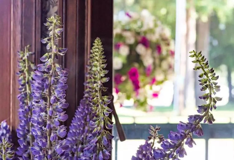 Historic Hotel Packwood