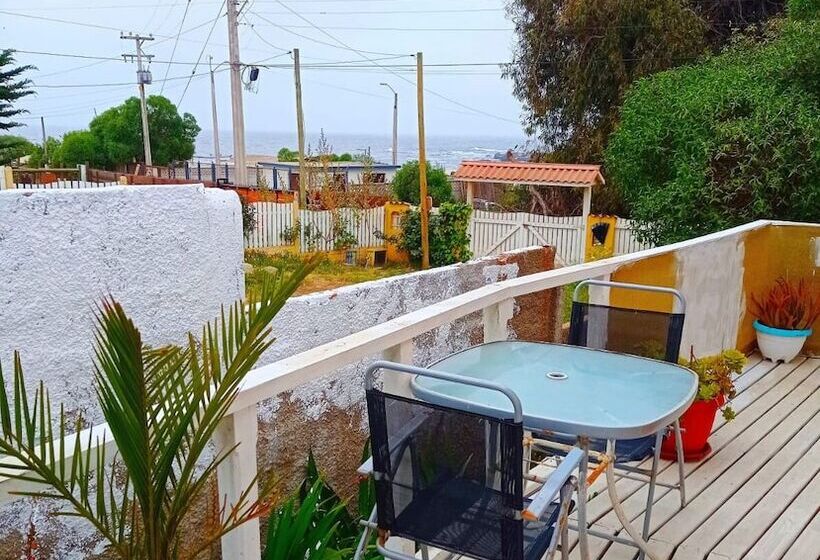 تختخواب و صبحانه The Ocean Hostel