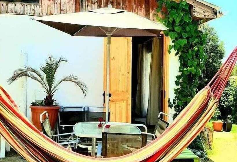 تختخواب و صبحانه The Ocean Hostel