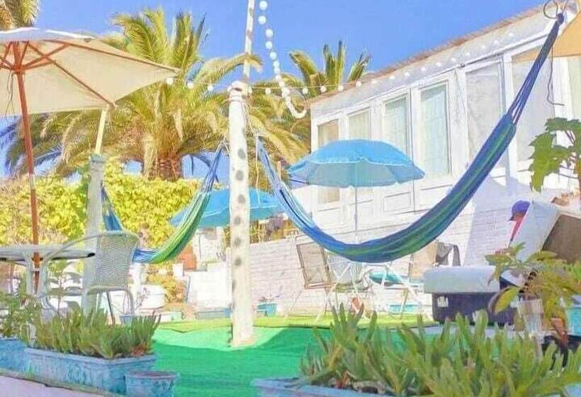 تختخواب و صبحانه The Ocean Hostel