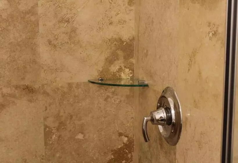 هتل Diana Princess