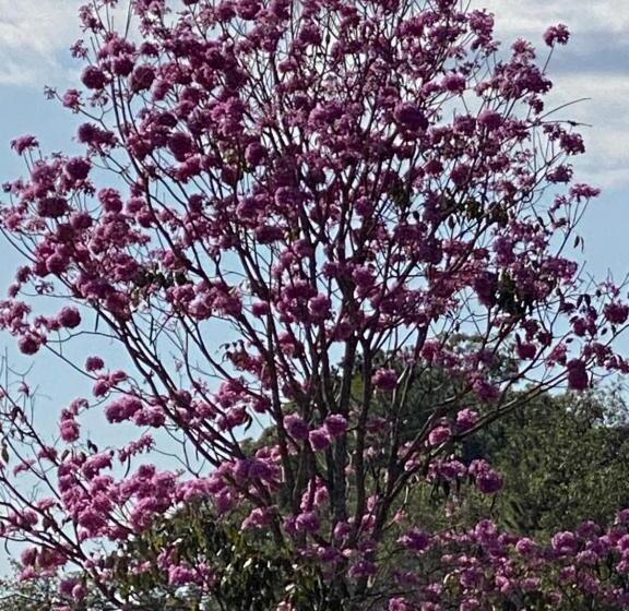 펜션 Villaggio Dos Pássaros