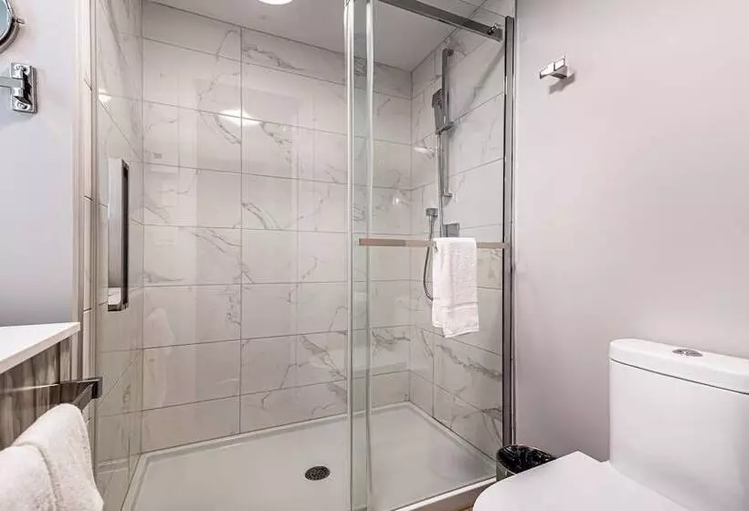 Werfy Luxury Apart
