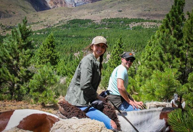 Hostel Le Fario Lodge In Patagonia