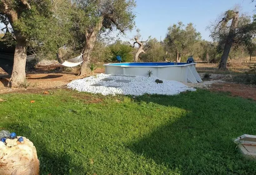 B&b Gli Ulivi