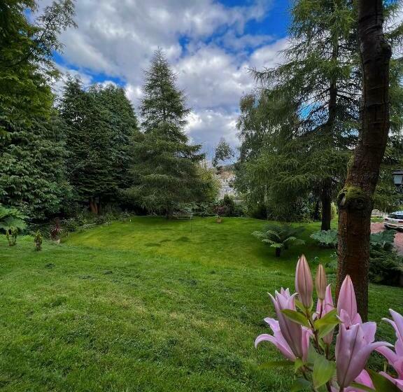 Bed and Breakfast Ivybank Villa