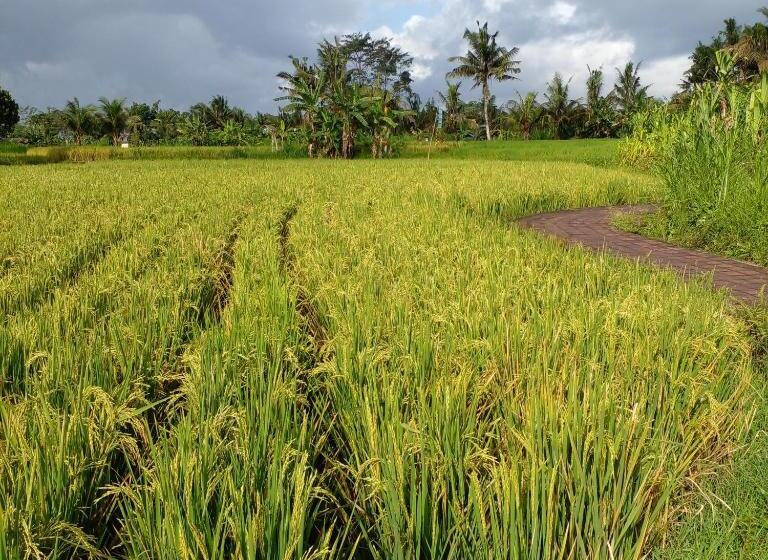 ホテル Bali Livin,tayehomestay