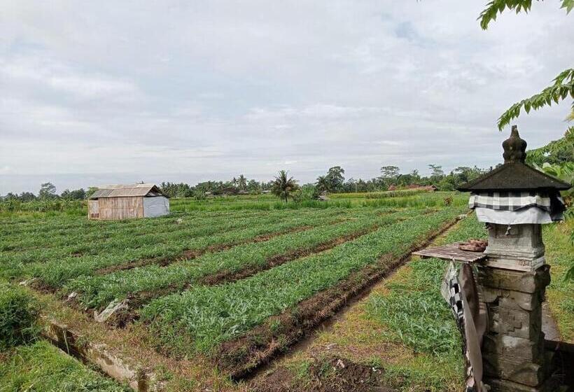 ホテル Bali Livin,tayehomestay