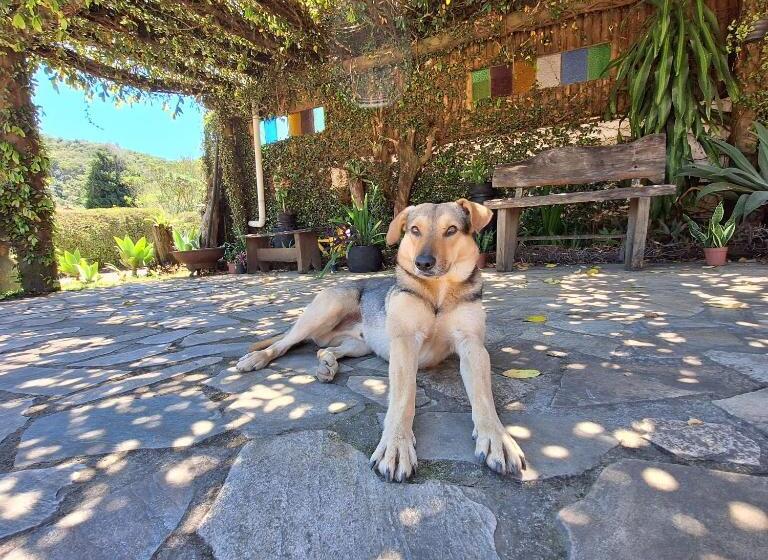 فندق Diógenes Pousada