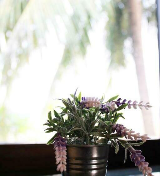 בית מלון כפרי Rittiboon Vintage Phare