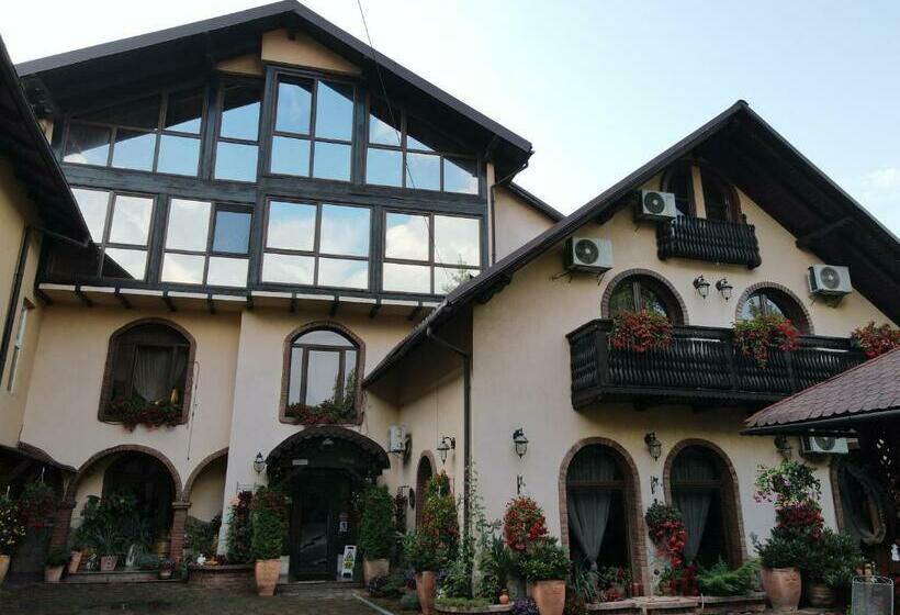 Pensão Iris Bucovina