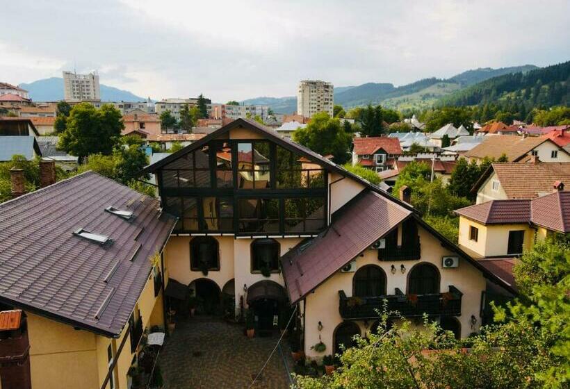 Pensão Iris Bucovina