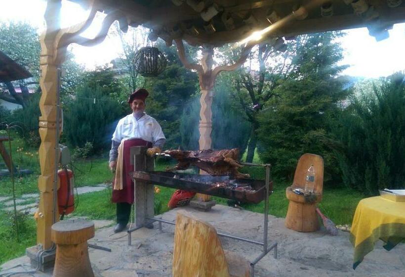 Pensão Iris Bucovina