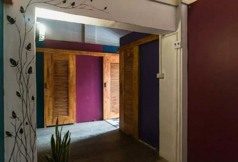 Pomme Hostel Restaurant & Bar   Private Sleeping Cabins